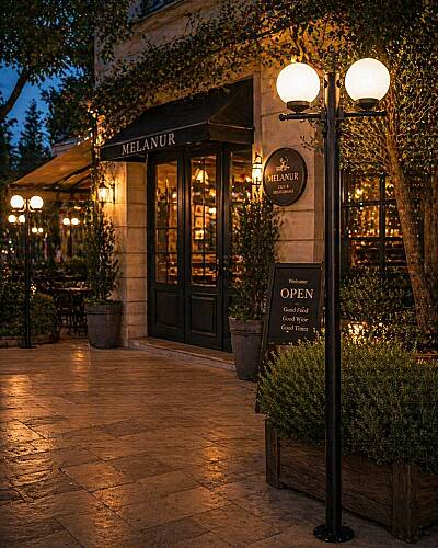 200 cm Çift Kollu Glop Direkli Bahçe Yol Aydınlatma Armatürü  - 5